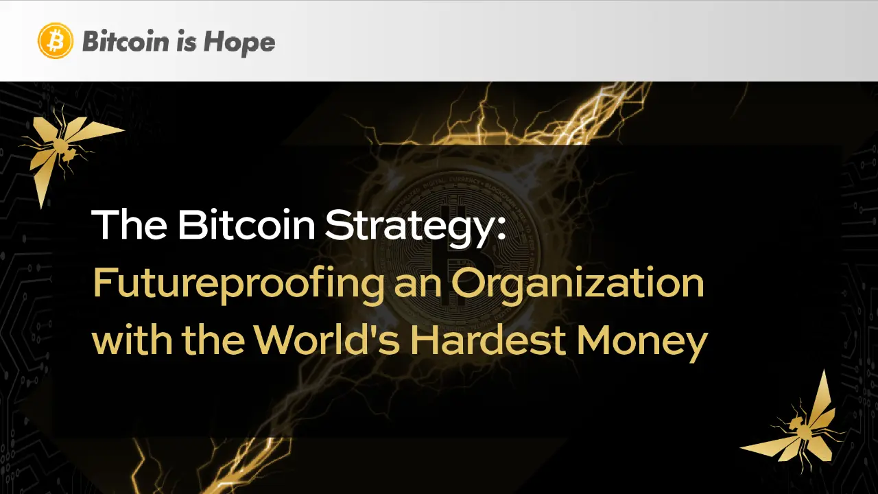 microworld-session-bitcoin-strategy.png