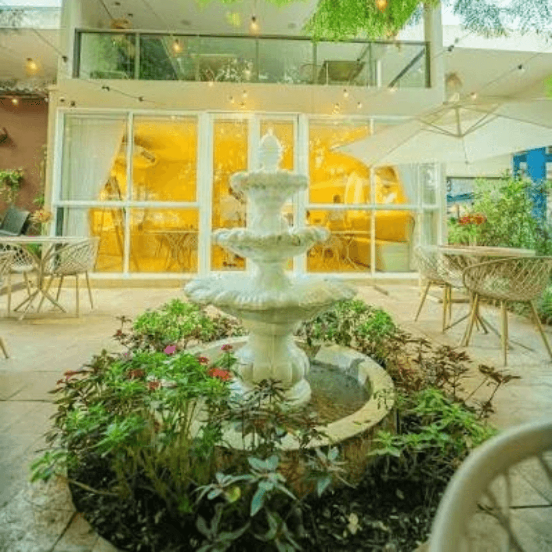 Executive BF_Café Exclusivo_Brasília_where-to-find-us_Magnólias.png