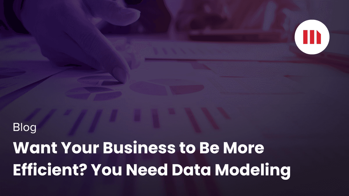 Video: Want Your Business to Be More Efficient? You Need Data Modeling